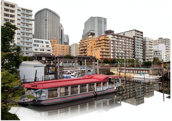 Canon IXY 650 Compact Digital Camera 12x Zoom Silver Bundle-1